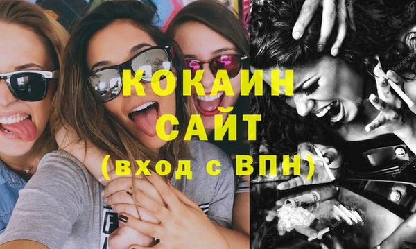 прущие грибы Кинешма