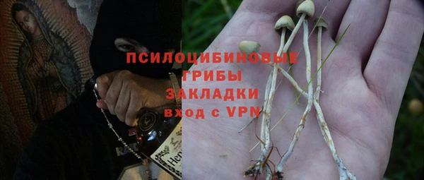 прущие грибы Кинешма