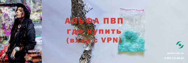 прущие грибы Кинешма