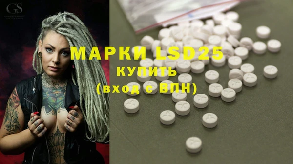прущие грибы Кинешма