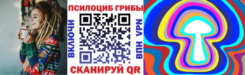 Псилоцибиновые грибы Psilocybe  Купить где  Павловский Посад 